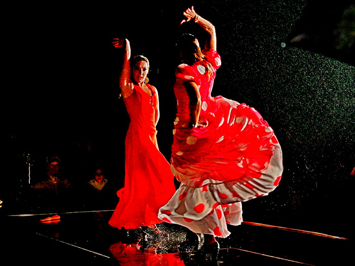 Flamenco show as part of Spanish cultural immersion in Andalusia