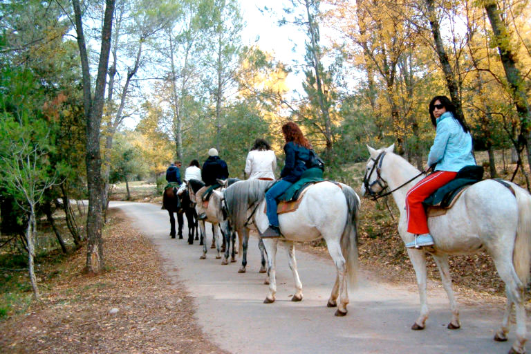 Horse riding activity as part of cultural experience in Spain