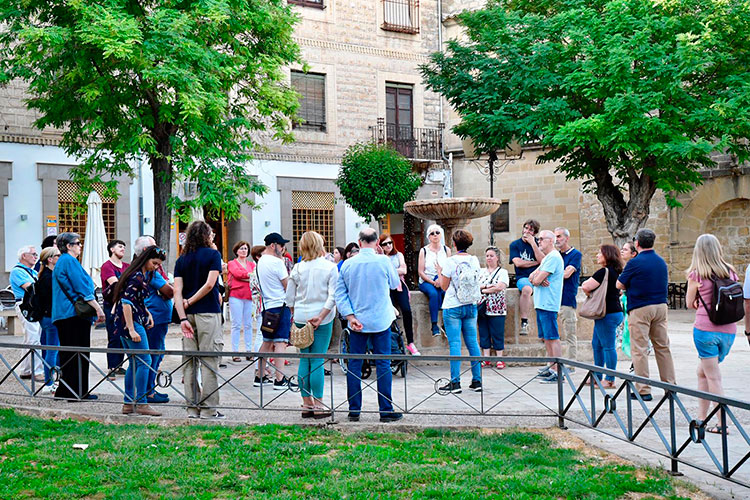 Guided tour activity to a World Heritage city